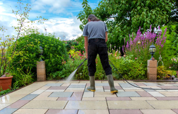 Best Pool Deck Cleaning  in USA